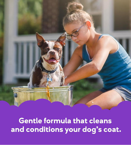 Buddy Wash Dog Shampoo & Conditioner for Dogs with Botanical Extracts and Aloe Vera