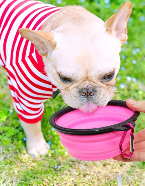 Load image into Gallery viewer, Collapsible Dog Bowls, 2 Pack, Portable Pet Feeding Watering Dish for Traveling with Carabiners (Small, Orange+Pink)
